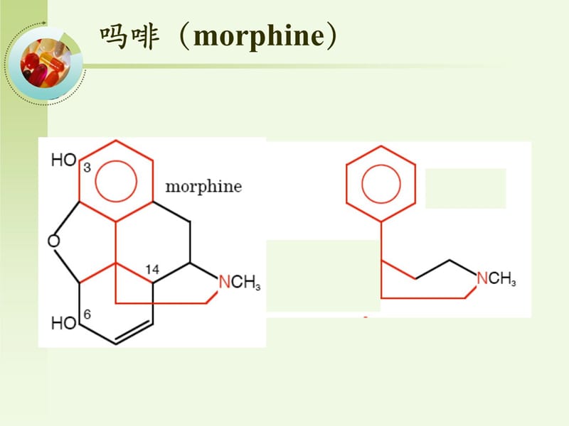 第二十一章镇痛药analgesics知识分享_第5页