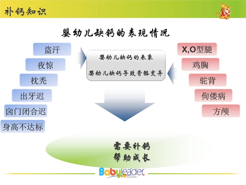 澳倍尔产品信息教学教材_第5页