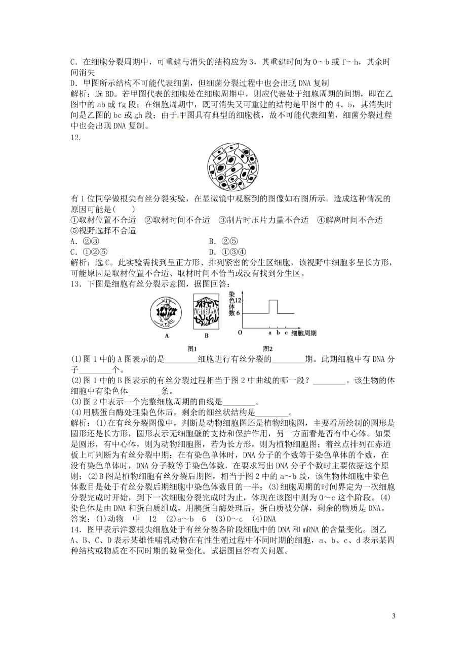 【决胜2013】（江苏专用）高考生物总复习 第六章第1节 细胞的增殖 课时闯关（含解析） 新人教版必修1.doc_第3页