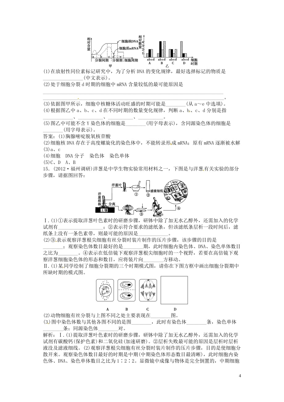 【决胜2013】（江苏专用）高考生物总复习 第六章第1节 细胞的增殖 课时闯关（含解析） 新人教版必修1.doc_第4页