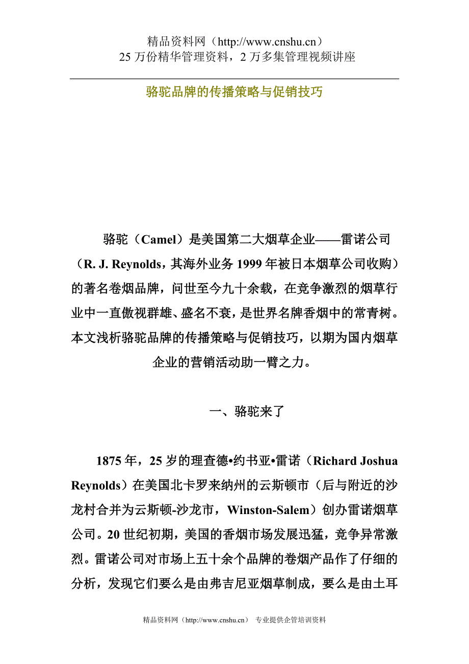 2020年(战略管理）XX品牌的传播策略与促销技巧_第1页