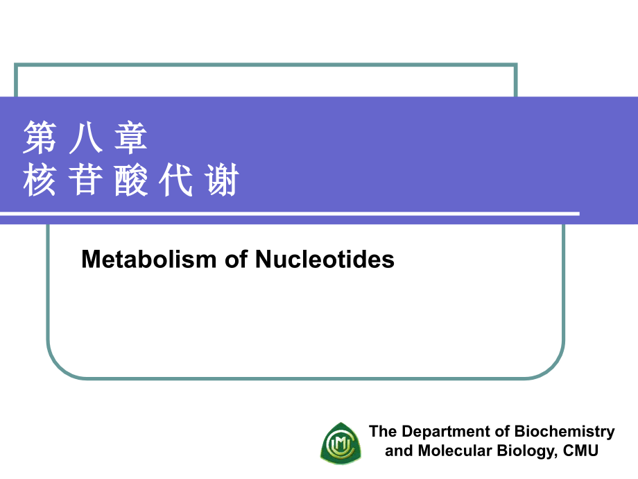 第八章核苷酸代谢4培训讲学_第1页