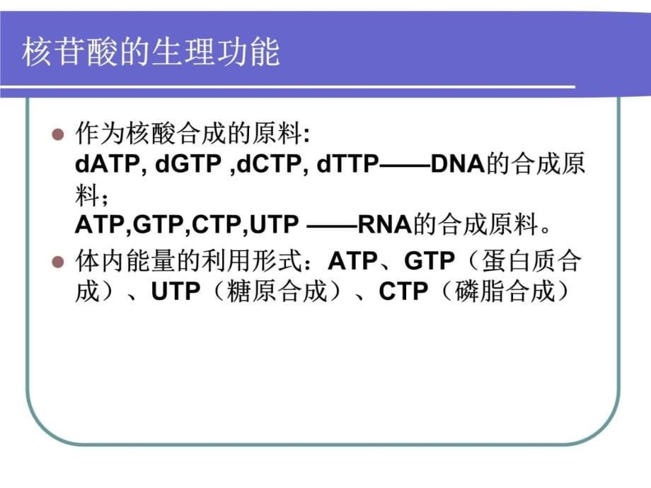 第八章核苷酸代谢4培训讲学_第5页