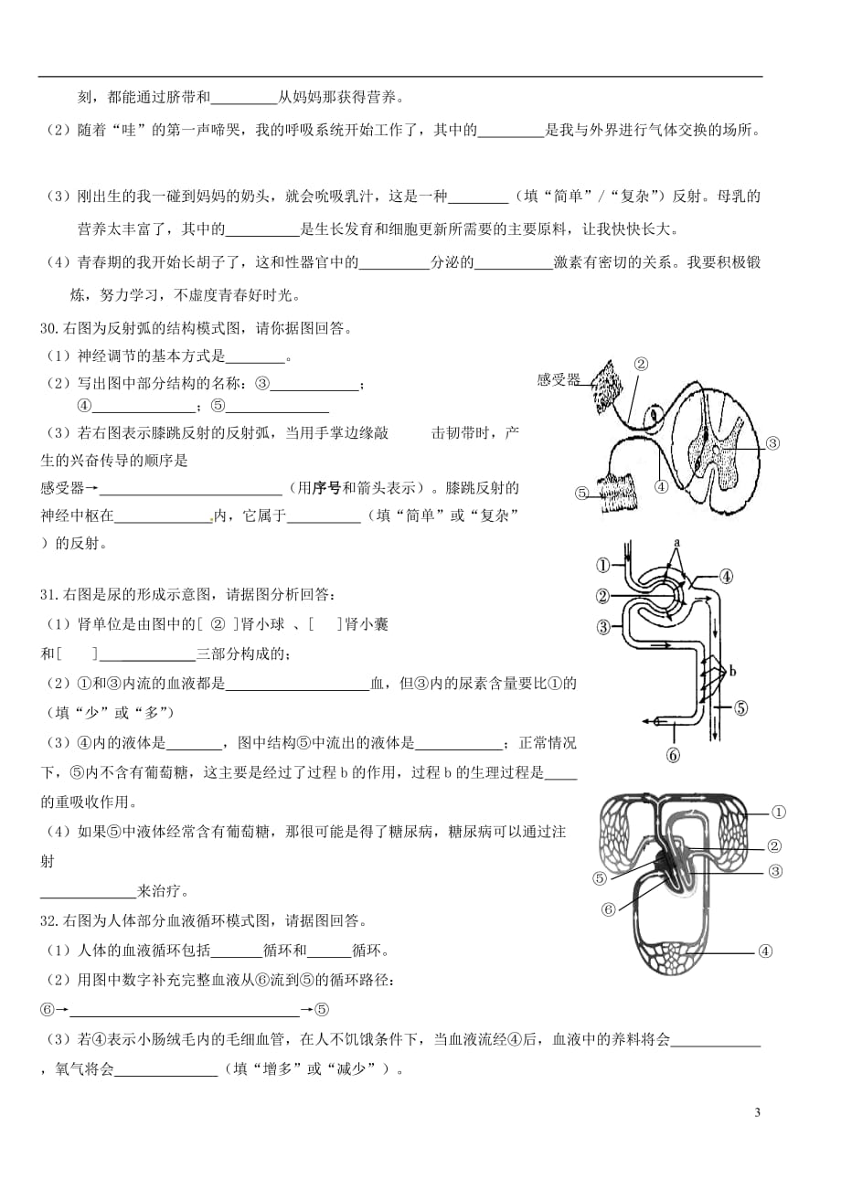 广西壮族自治区贵港市贵城四中2011-2012学年七年级生物下学期期末教学质量检测试题（无答案） 新人教版.doc_第3页