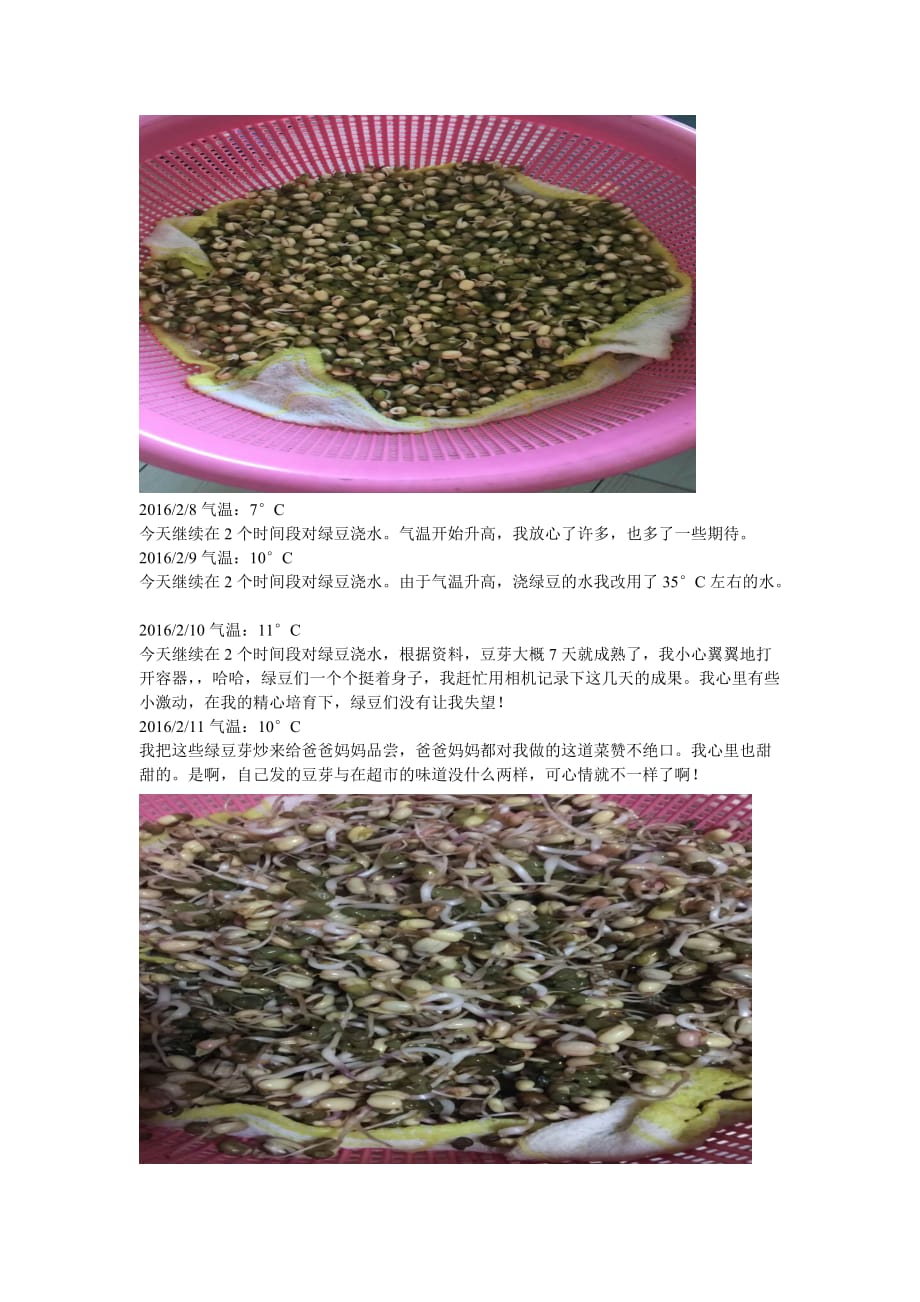 发豆芽的过程实验 七年级上 生物_第2页