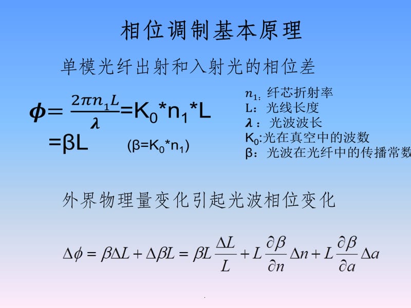 相位调制型光纤传感器_第4页