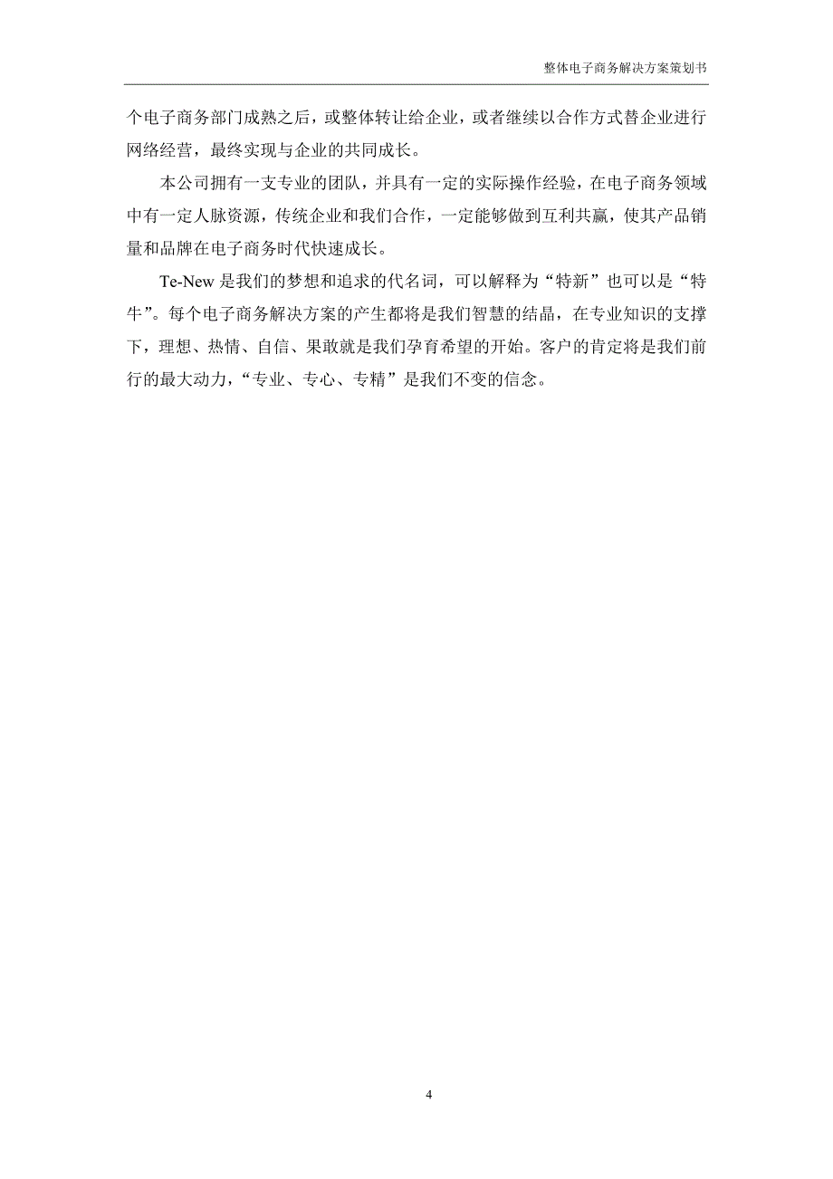 2020年(策划方案）公司商业策划书__第4页