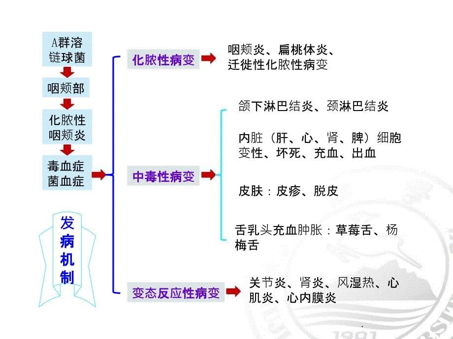 猩红热病人的护理最新版_第5页