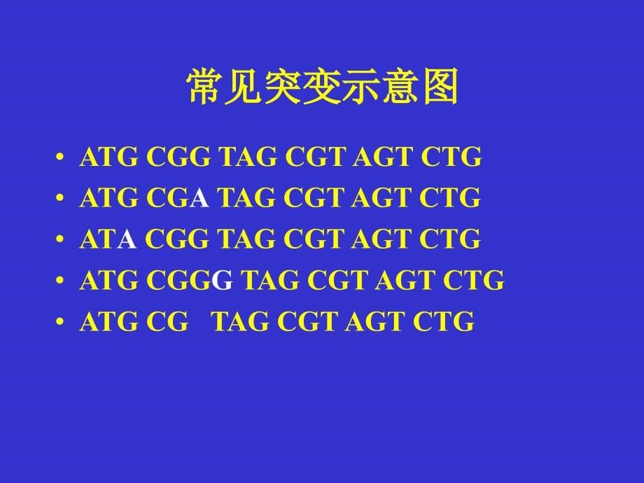 血型分子诊断技术进展与应用ppt课件_第5页