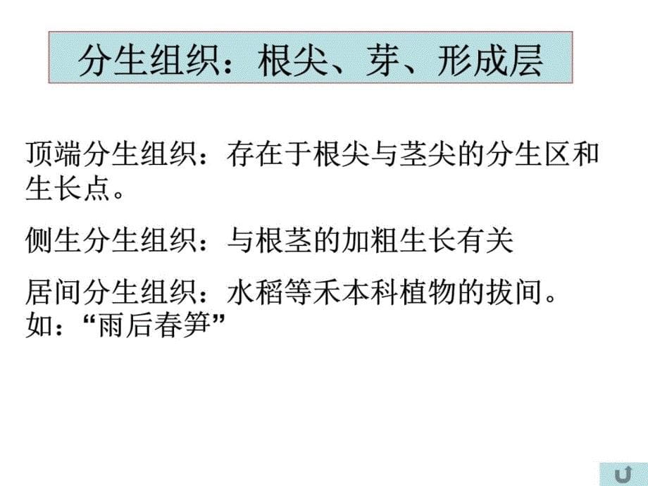 七年级科学显微镜的微生物教学案例_第5页