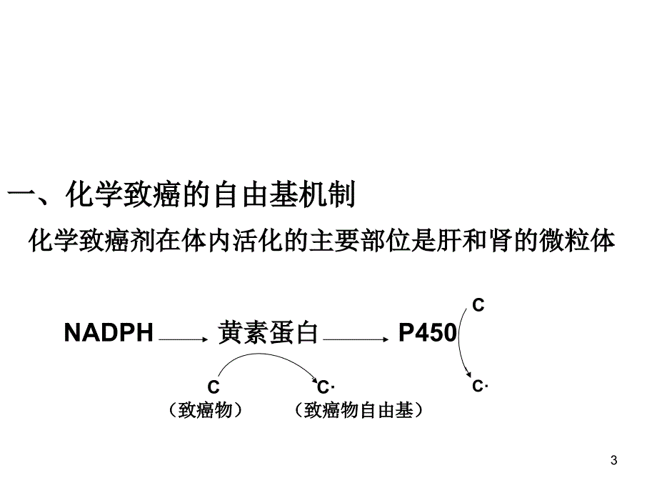 七、八、自由基与肿瘤、缺血再灌注教学教案_第3页