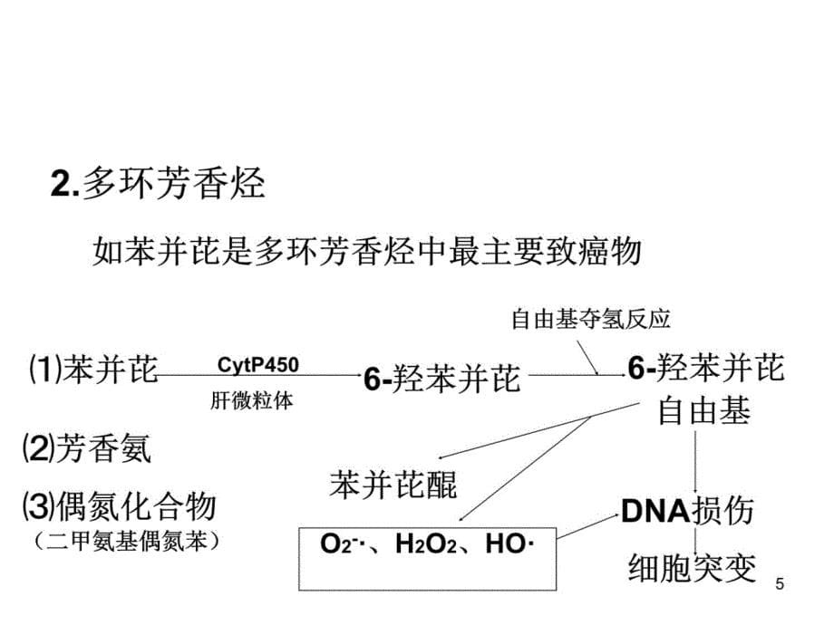 七、八、自由基与肿瘤、缺血再灌注教学教案_第5页