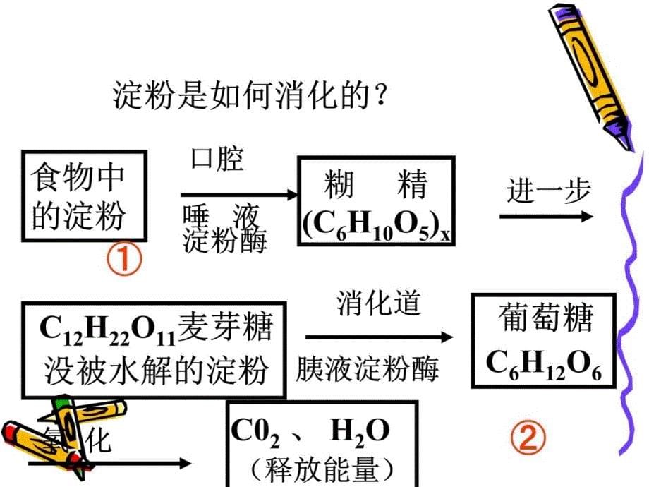 课题1食物中的营养素幻灯片资料_第5页