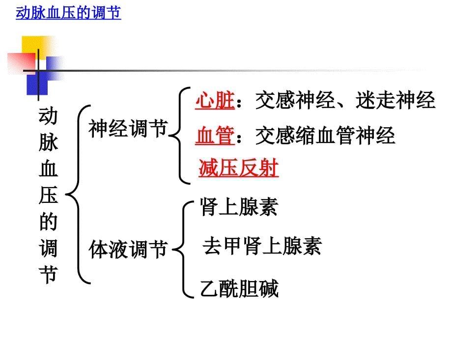 实验1动脉血压的调节ppt课件_第5页