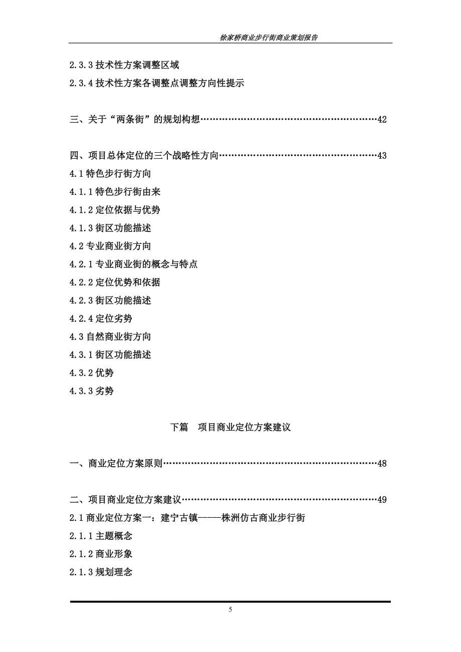 （策划方案）湖南株洲徐家桥商业步行街商业诊治之商业策划报告_80页v_第5页