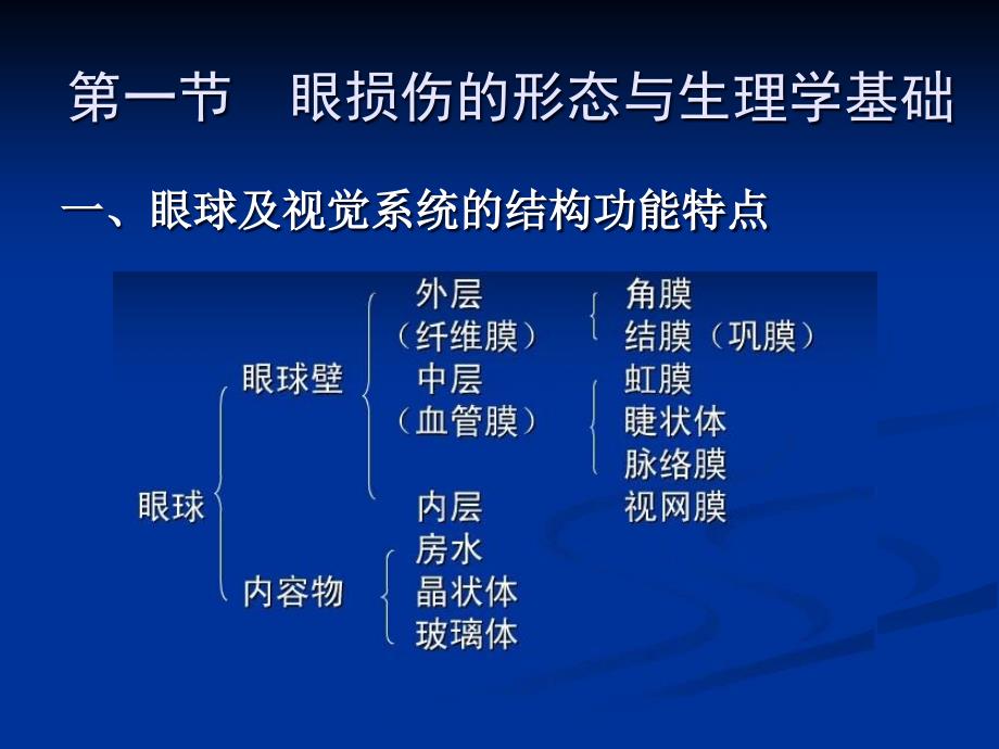 药物对眼的毒性作用ppt课件_第2页