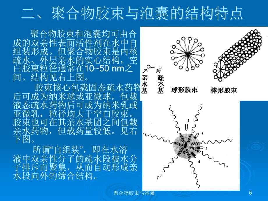 型给药系统聚合物胶束与泡囊ppt课件_第5页