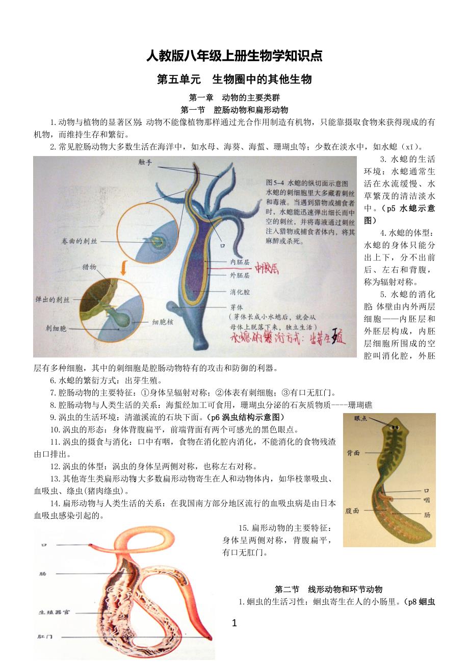 （2020年整理）人教版八年级上册生物学知识点.doc_第1页