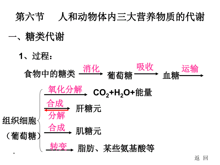 人和动物体内三大营养物质的代谢1教学案例_第3页