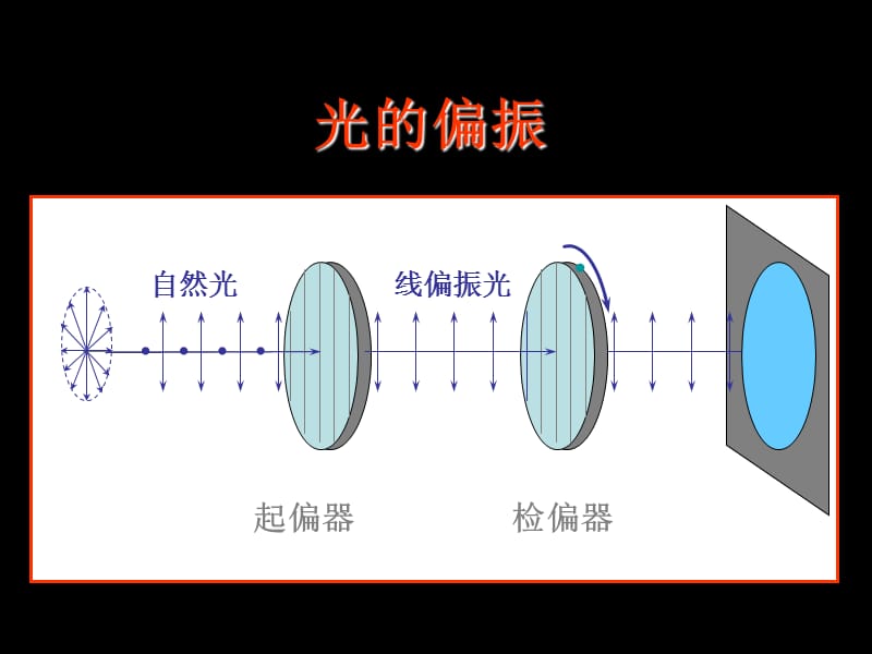 光的偏振 起偏和检偏_第1页