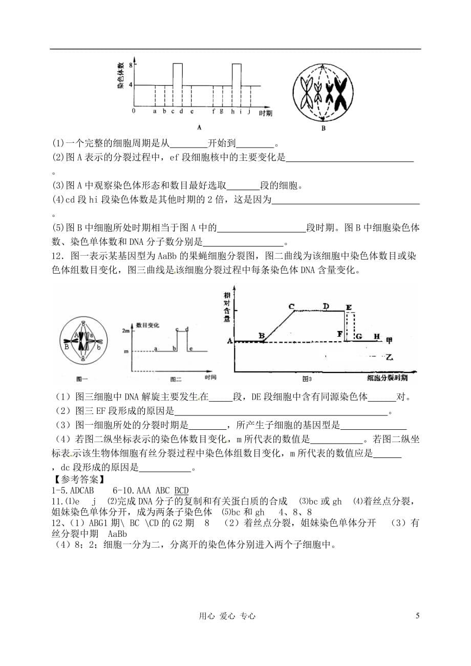 江苏省高三生物总复习 4-1有丝分裂学案.doc_第5页