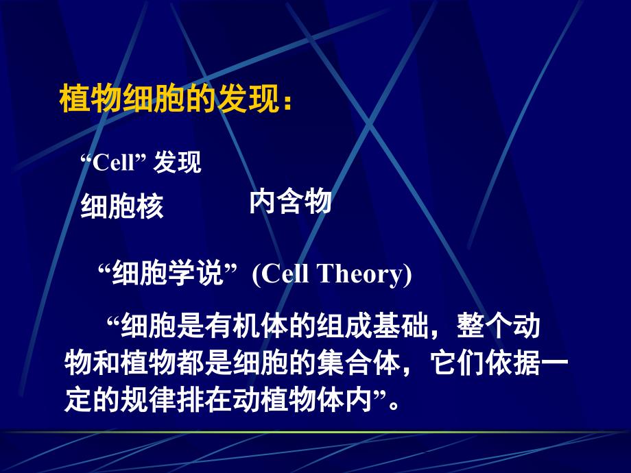 植物细胞的形态和基本结构培训资料_第2页