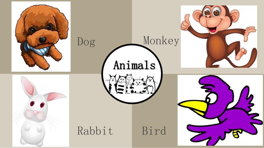 各种动物的英文介绍_第4页