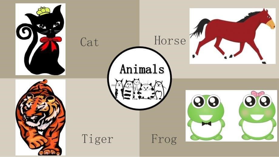 各种动物的英文介绍_第5页