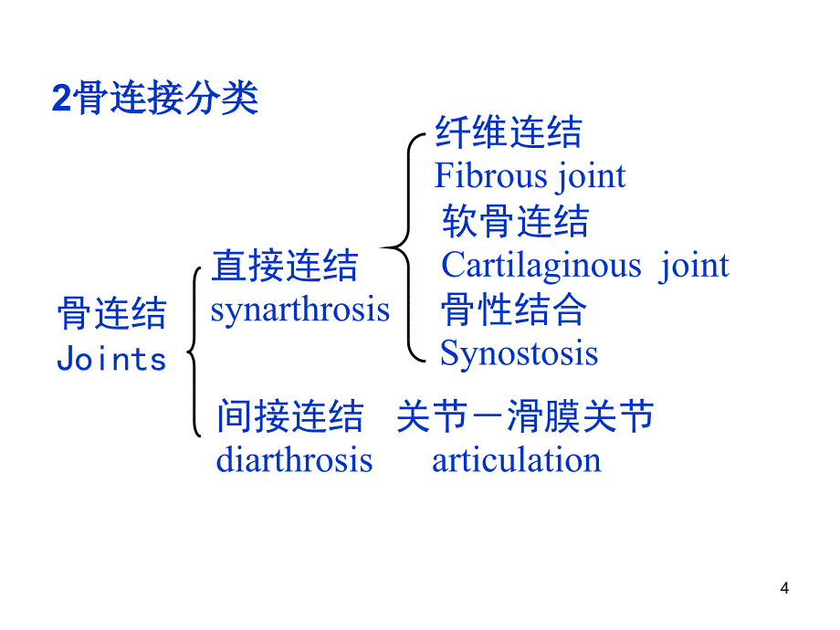 系统解剖学2关节总论附有各论理论ppt课件_第4页