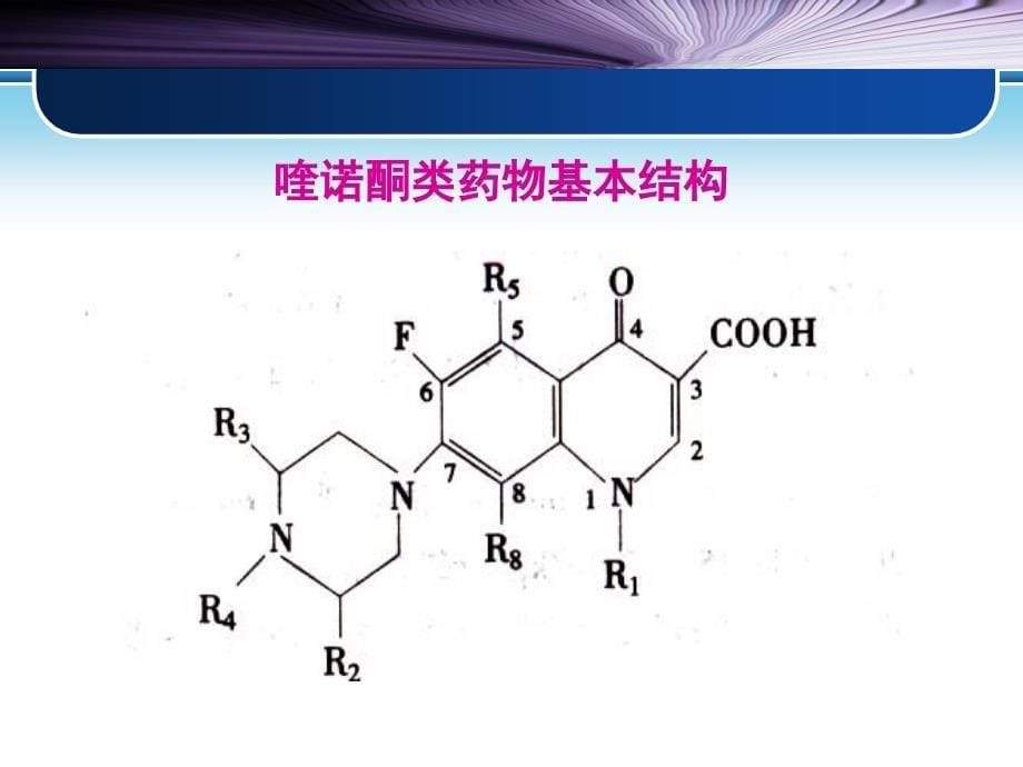 药理学课件第四十三章人工合成抗菌药ppt课件_第5页