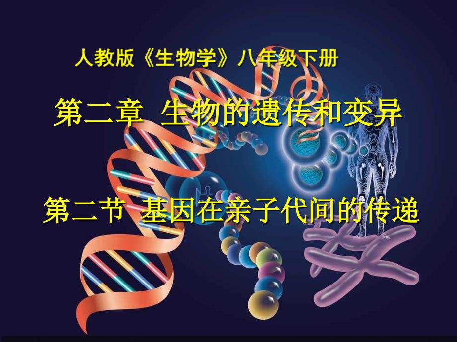 2013新人教版八年级生物下册 第二章 第二节 基因在亲子代间的传递_第1页