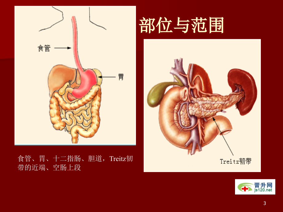 医学课件之(9)资料教程_第3页