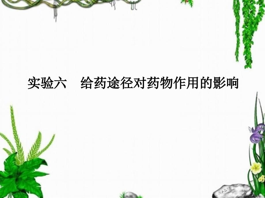 实验六给药途径对药物作用的影响ppt课件_第1页