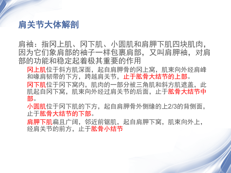 医学影像-肩关节MRI教学材料_第2页