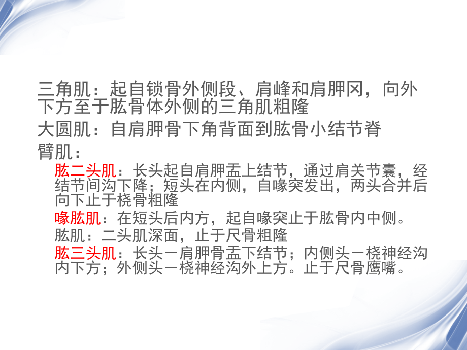 医学影像-肩关节MRI教学材料_第3页