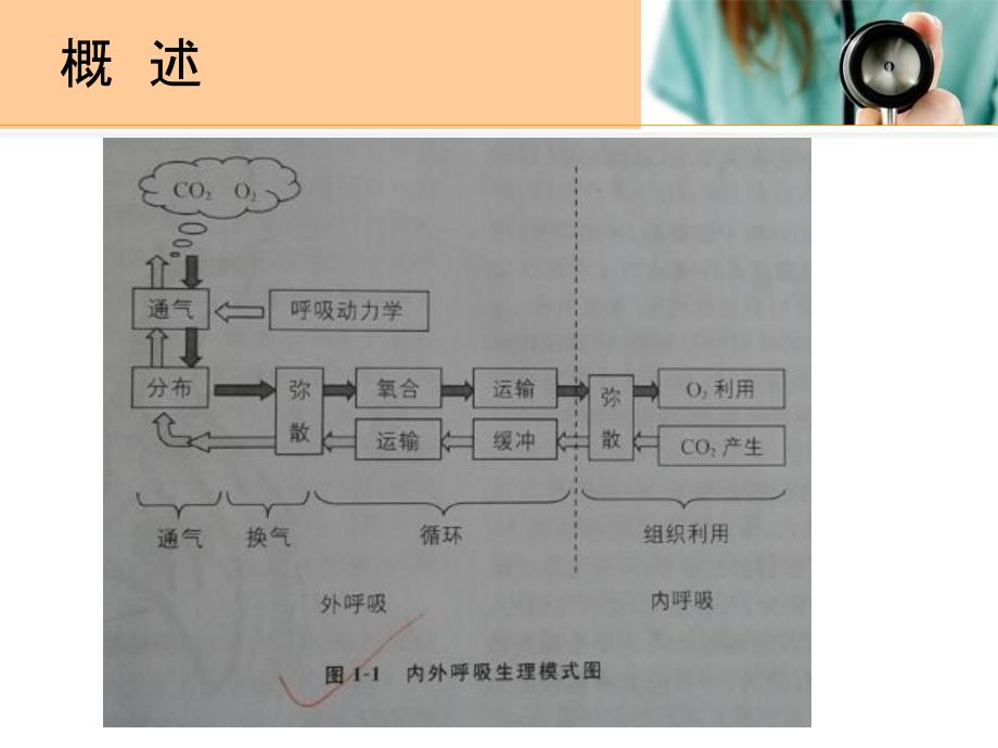 氧气疗法最新版本_第3页