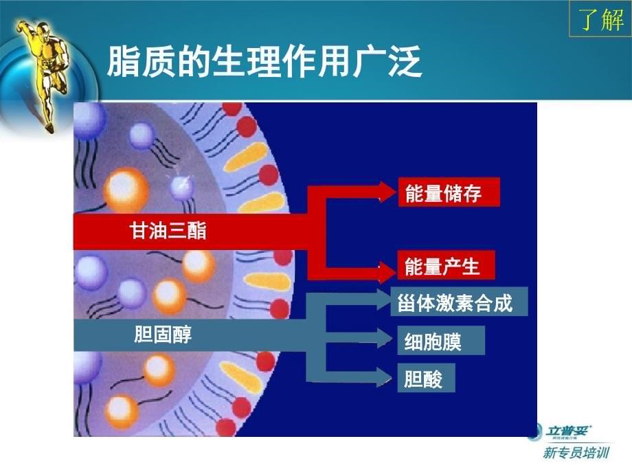 血脂异常与动脉粥样硬化ppt课件_第5页