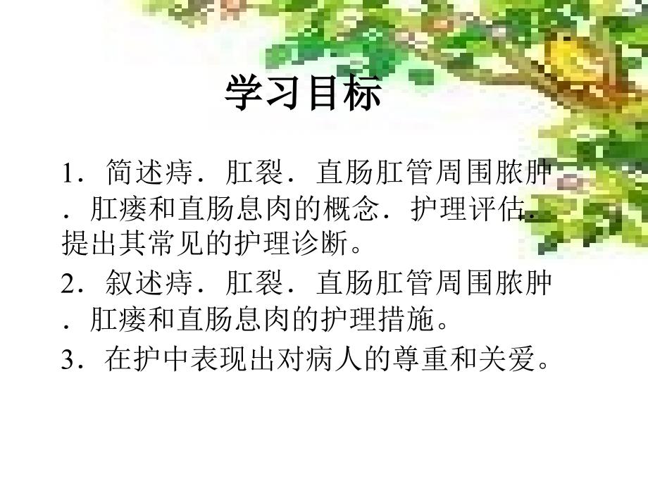 直肠肛管良性疾病的护理ppt课件_第2页