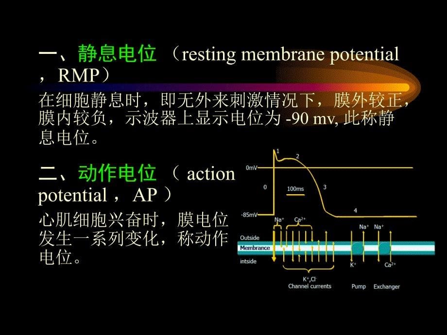 药理学抗心律失常2004级ppt课件_第5页