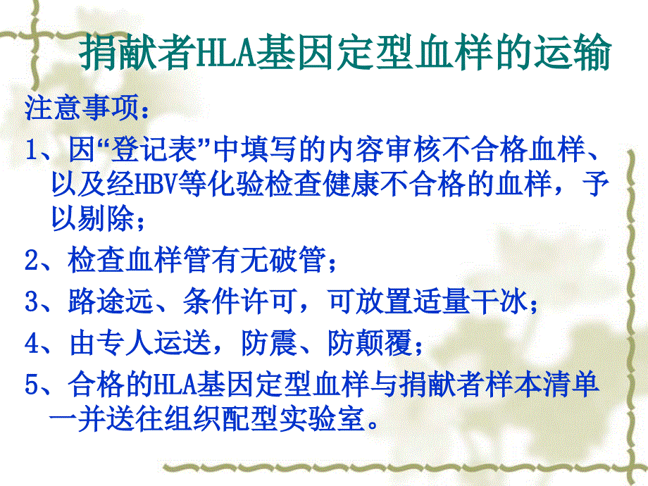 造血干细胞捐献者的HLA基因分型ppt课件_第4页