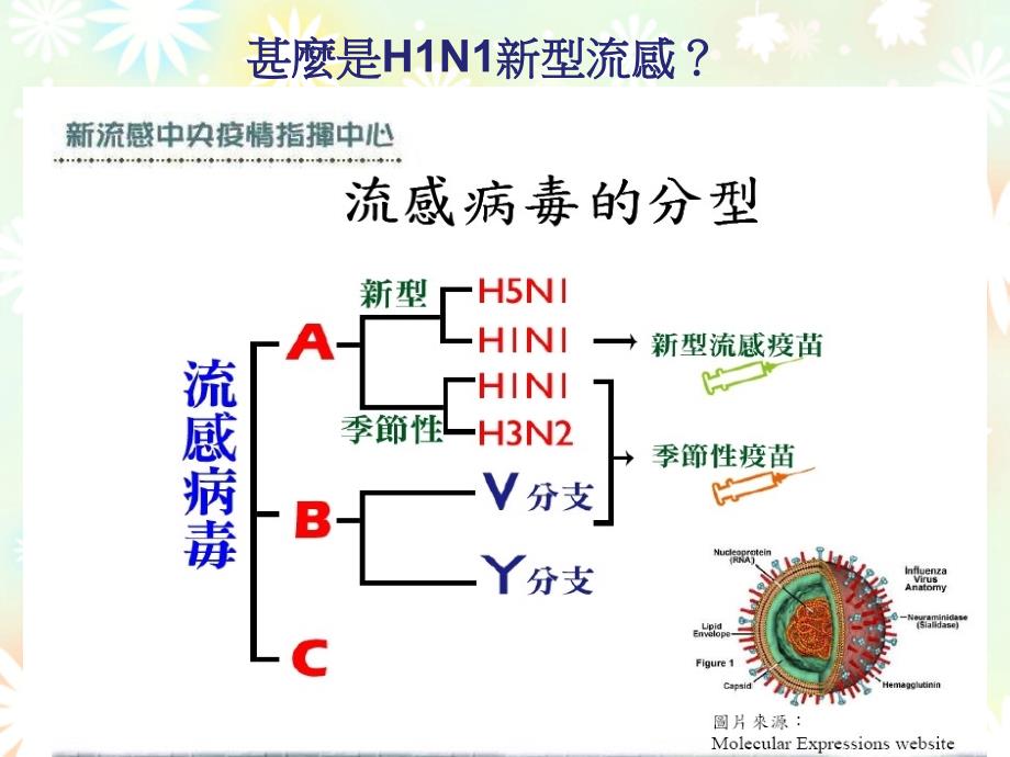 H1N1新型流感的认识与预防汇总_第2页