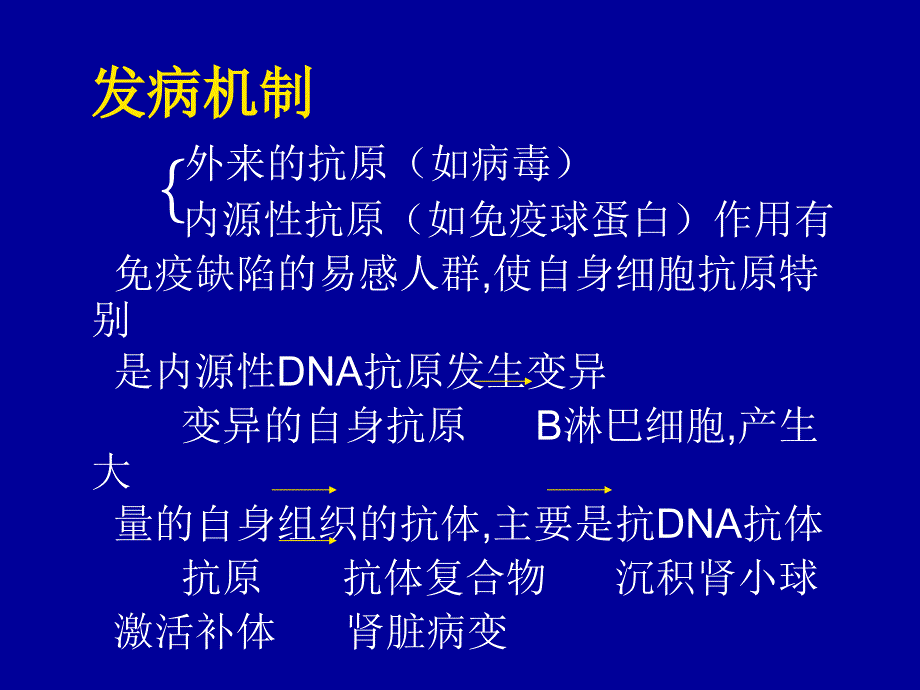 狼 疮 性 肾 炎讲义教材_第4页