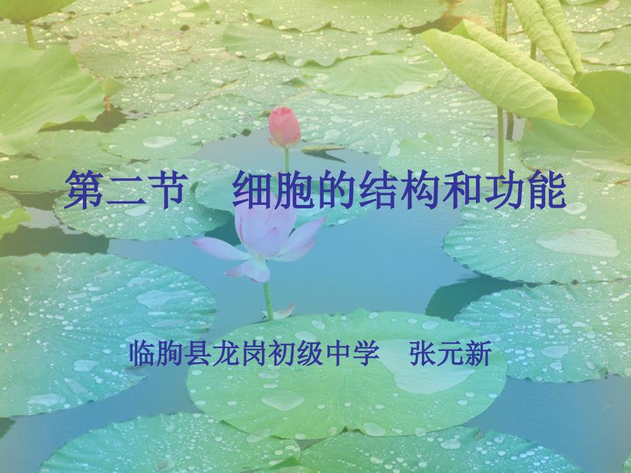 七年级生物细胞的结构和功能2教学讲义_第1页