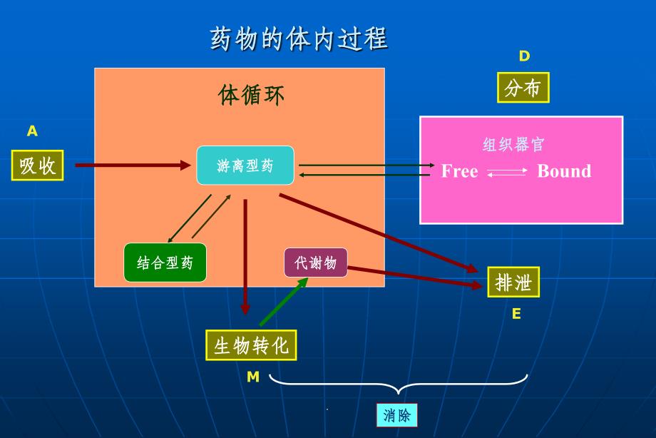 药代动力学最新版本_第4页