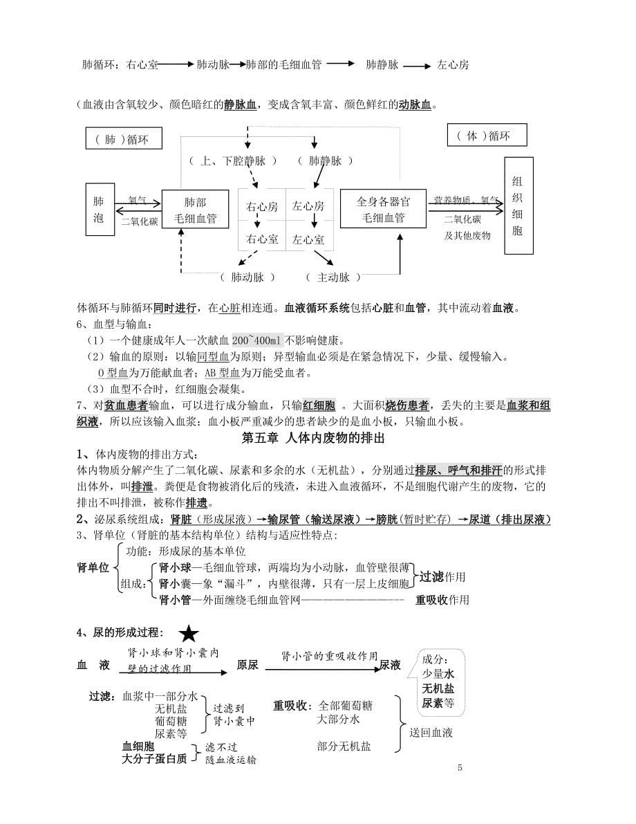 人教版初中七年级下册生物知识点.pdf_第5页