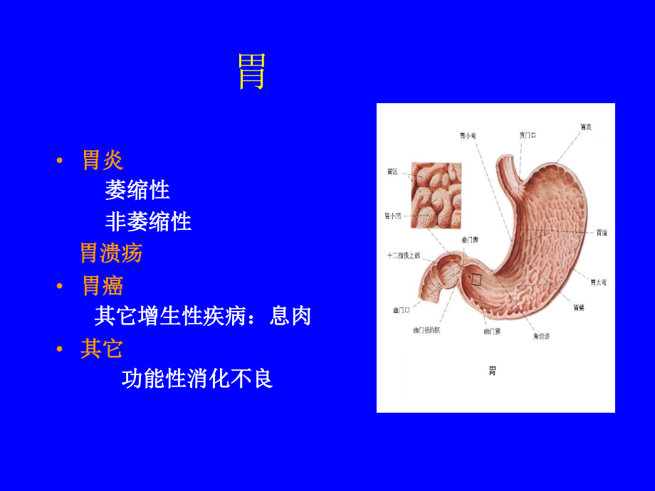 林森-消化系统疾病的症状体征与检查知识分享_第4页