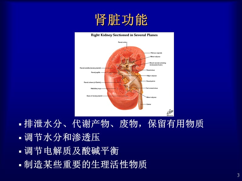 肾脏疾病的实验室检查讲义教材_第3页