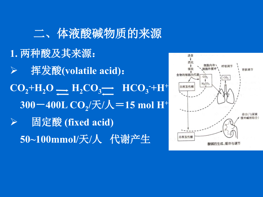 病理生理学4酸碱紊乱教学案例_第4页