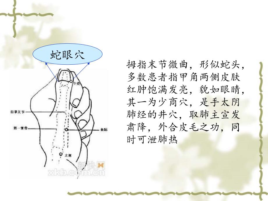 《中医刺络放血治疗》PPT课件ppt课件_第4页