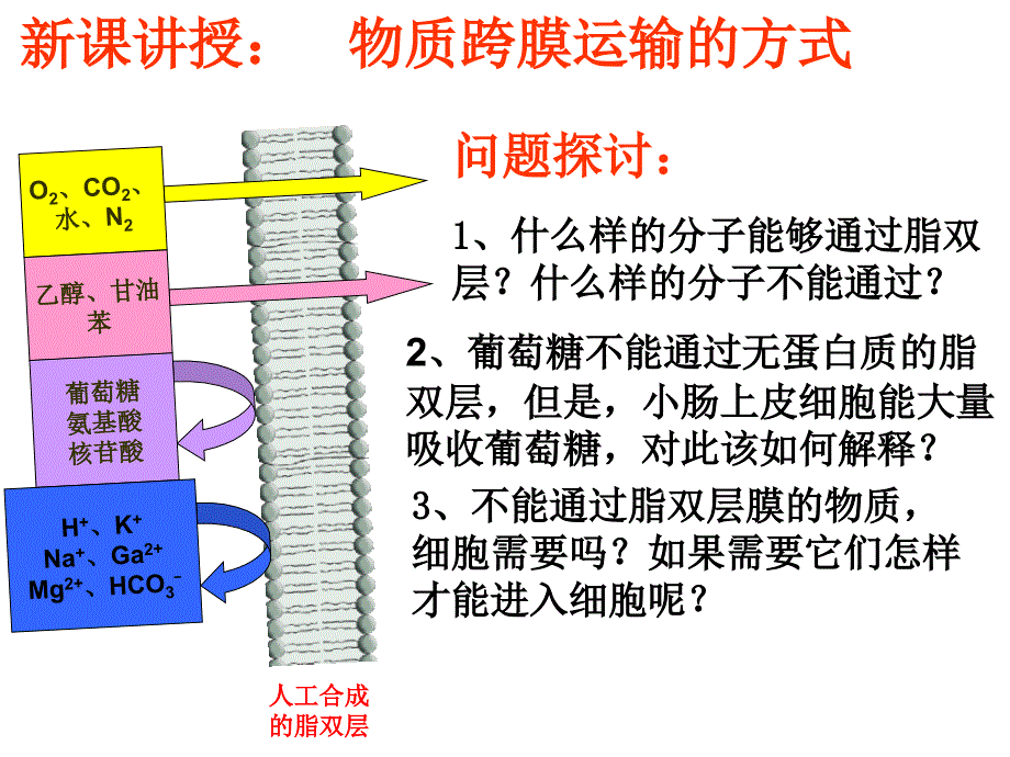 物质跨膜运输的方式知识课件_第3页